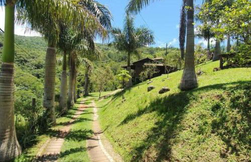 Casa Verde - #casinhasscherer - Foto 10