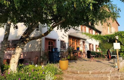 Les capucines la souris des champs - Foto 20