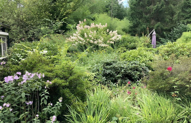 Arendonk Pondside Chalet - Foto 27