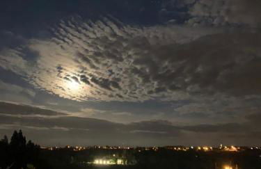 Medronho D'Ouro bungalows - Foto 52