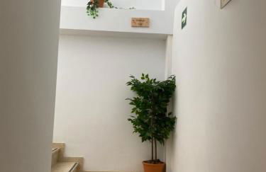 ALZIRA BONiTA SUITE ViP jacuzzi - Foto 34