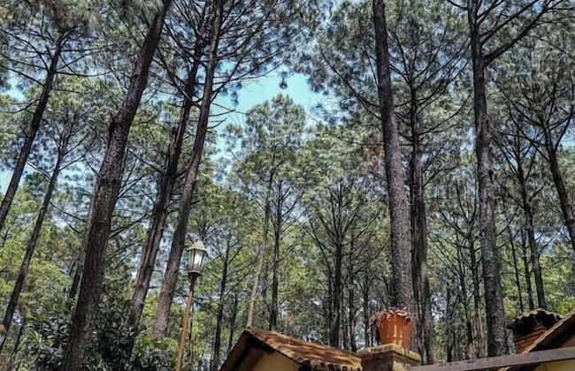 Las Morenas - Tres Lunas Domo - Foto 40