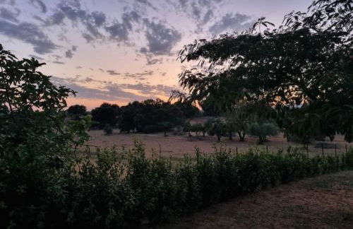 Accogliente villa con piscina - Foto 33