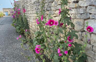Villa avec Piscine chauffée, a 5mn de la plage - Foto 41