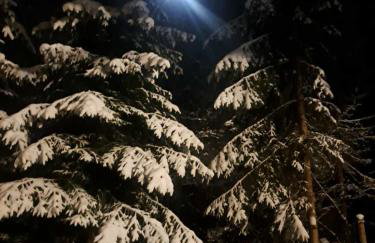 Juraszówka - Foto 38