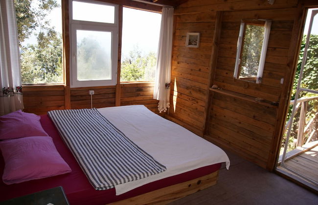 Shiva Camp - Foto 26