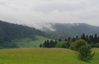 Przystanek Letnisko - Foto 25