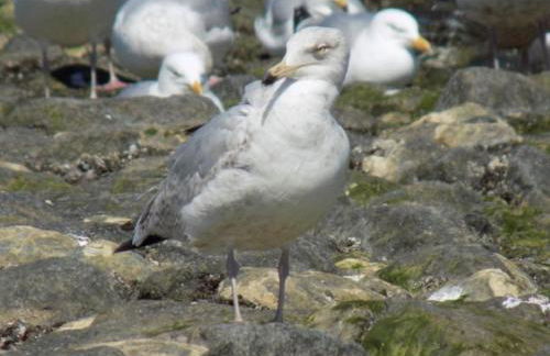 Ferienhof Ekenhoff - Foto 10