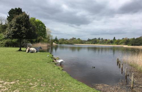 Oak Tree Cottage, Charming, Rural New Forest Home - Foto 54