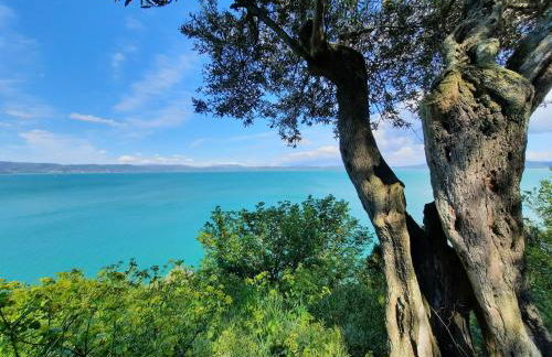 LEONÄRDO Guests House - LT Locazione Turistica - Foto 35