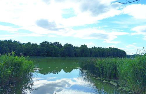 POKOJE NA CYPELKU NAD 5 JEZIORAMi - Foto 11