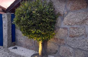 Casas do Arrabalde - Foto 26