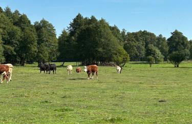 Domek nad Wkrą - Foto 62