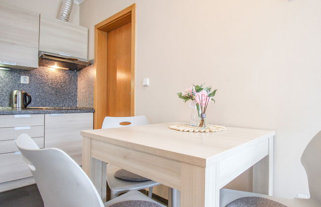 Resident Harrachov B - Foto 19