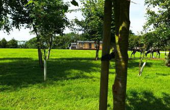 Shropshire Lodges - Romantic Luxury Hot Tub Breaks - Foto 55