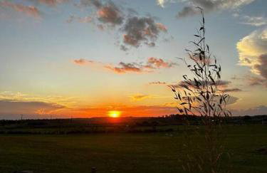 Cabanas Purunã Ipê-Amarelo - Foto 24