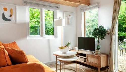 Copperbeech - Ukc6389 - Foto 2