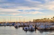 ESTRELLA Santa Pola - Photo 31