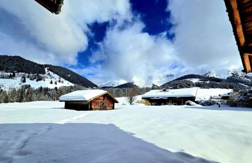 Chalet du Lay Côte 2000 ski in ski out - Foto 22