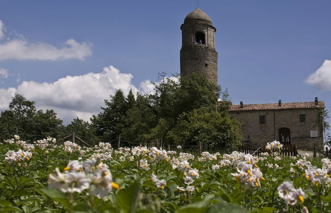 Agriturismo Montagna Verde - Foto 59