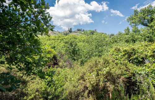 Terre di Cocomo - Foto 30