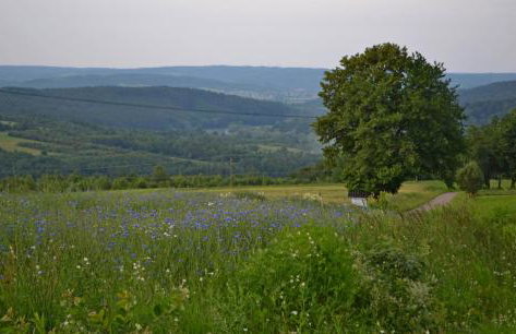Na końcu świata - Foto 36