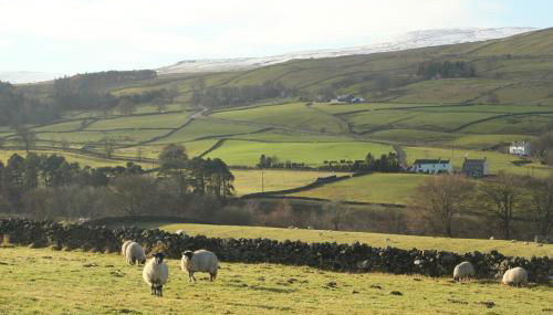 Alston Art Apartments - Foto 2