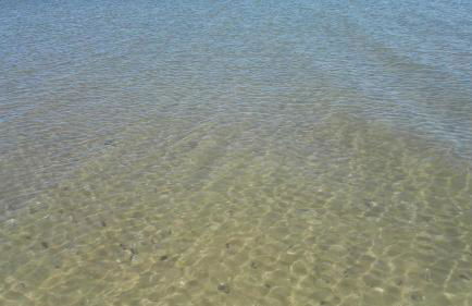 Residence Adriatico - Foto 67