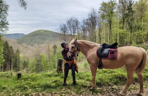 Gîte de la vallée, En Pleine Forêt - Foto 18