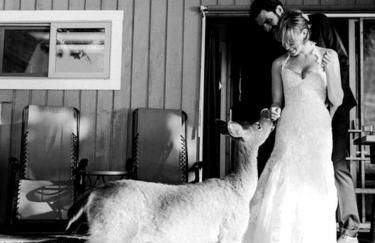 Incredible Sunset at Beachfront Glamping Cabin on Private, Herron Island with Fire Pit and Kayaking near Olympia, Washington - Foto 37