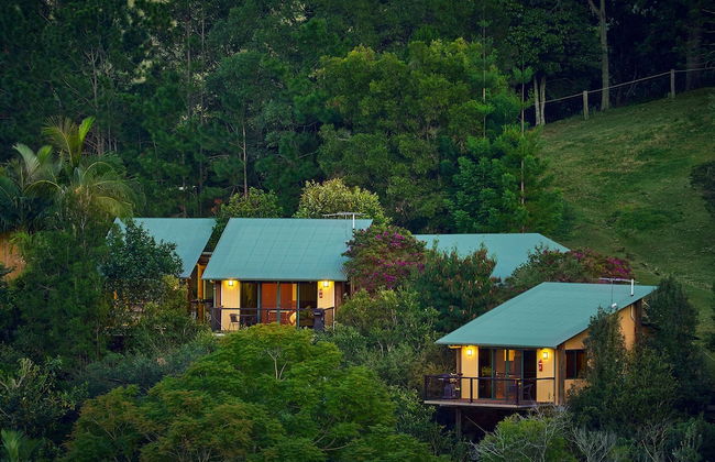 Dayboro Cottages - Photo 31