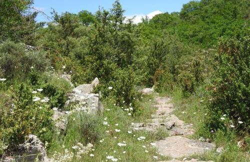 La Nichoule - Foto 17