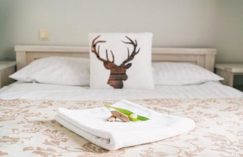 Bacówka Biały Jeleń - Photo 40