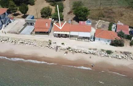 Asterias Studios Finikounda - Photo 16