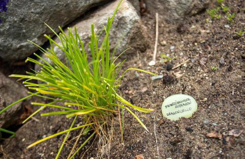Moserhof Ferienwohnung Sunnseit - Foto 31