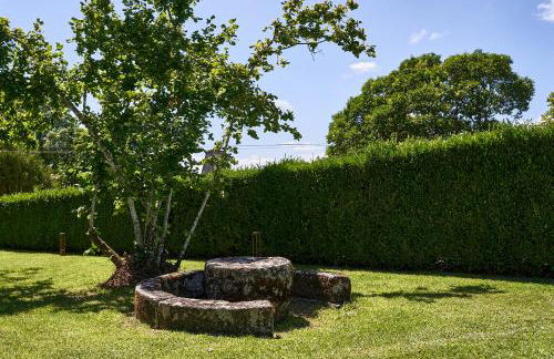 Solar de Vilar Seco - Foto 64