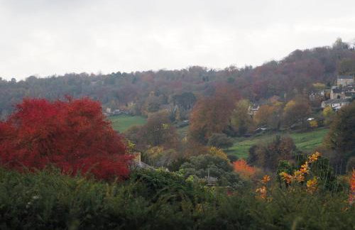 Golden Valley View - Photo 21