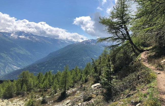 Apartment in Veysonnaz Near Ski Lift - Foto 17