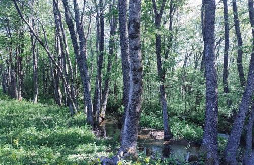 Velebit Lodge - Foto 24