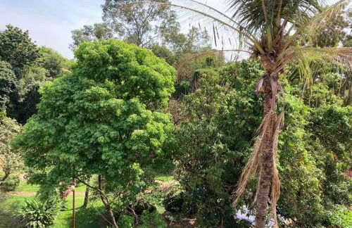Casa grande, ampla, com 4 quartos e estacionamento - Foto 13