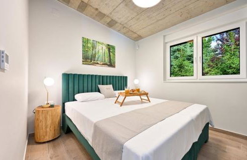 Skitnica House Brulo - Photo 46