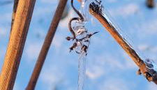 Apartment im Weingut - Foto 3