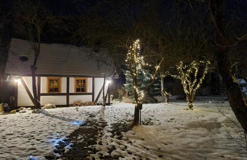 Górski Sad - Bazylia - Foto 22