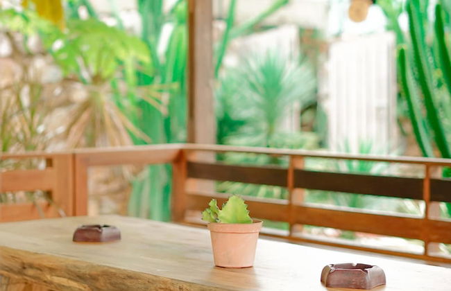 Danka Vacation Home - Foto 37