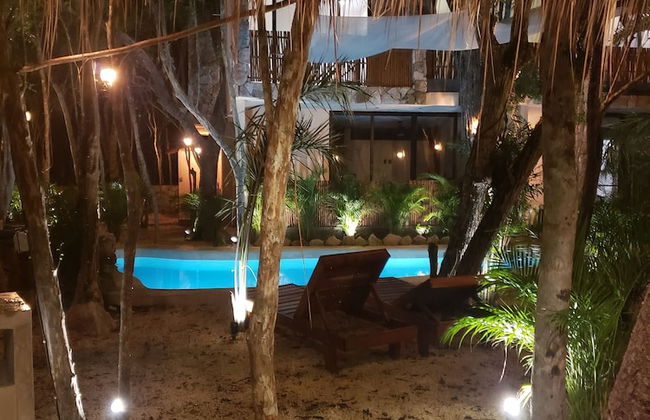 Jungle Penthouse - Photo 33