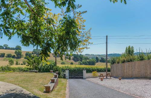 The Lantern Tree - Foto 22