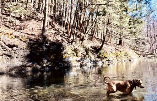 Romantic Glamping Getaway in a Pet Friendly Caravan, Ideal to Explore Hudson Valley - Foto 12