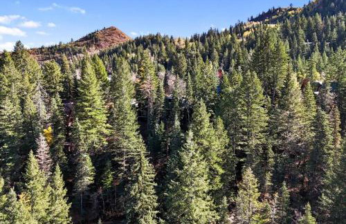 Beartooth Lodge with Hot Tub and Stuart Falls Views - Foto 28