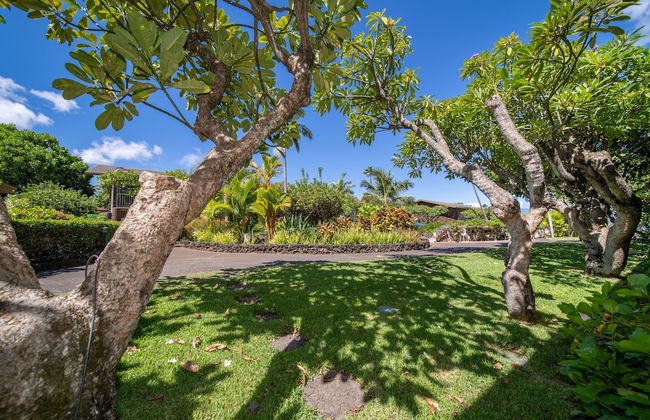 Napili Shores Maui by OUTRIGGER - Foto 37