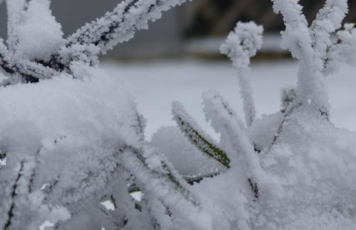 Alb-Biosphäre-Ferienwohnung - Foto 42